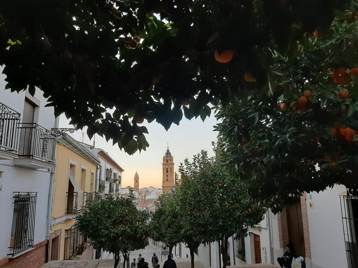 אנטקרה Apartamento Turistico La Vega מראה חיצוני תמונה